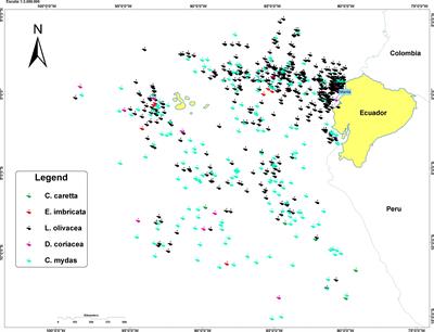 By-catch of sea turtles in Pacific artisanal fishery: Two points of view: From observer and fishers